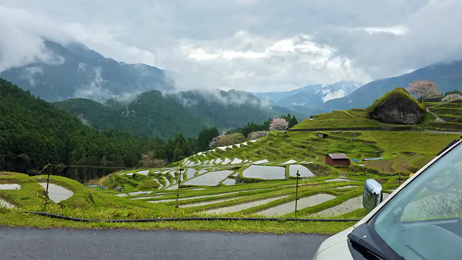 Reisfelder und Berge in Japan
